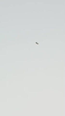 A video captures a hazy, overcast sky with a single object in the distance. The object appears to be small and light-colored, possibly a bird or a kite, and is positioned in the upper central portion of the frame. In the bottom portion of the frame, the tops of some leafy trees are visible, indicating an outdoor setting. The object remains relatively stationary throughout the brief clip, with only slight movement and occasional blurring. The lighting is soft and diffused, consistent with a cloudy day.
