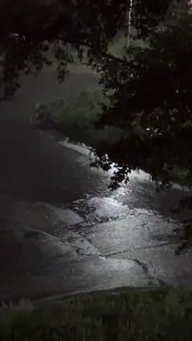 The video depicts a dark, outdoor scene at night, possibly during or just after a rain shower. A paved surface, likely a road or driveway, is visible, reflecting light from an unseen source. The surface appears wet and shows some cracks or patterns. To the left and in the foreground, there is dark foliage from a tree, with its branches extending into the frame. To the right, along the edge of the paved area, there is a strip of green grass or vegetation. The overall lighting is dim, with a spotlight or strong light source illuminating a section of the paved surface, creating a bright patch. The air appears hazy, with small particles, possibly raindrops or mist, visible in the illuminated area, suggesting ongoing precipitation or damp conditions.