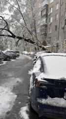 Heavy snowfall downs tree branch onto parked cars in Moscow