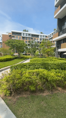 Landscaped pathway with greenery documented in Choeng Thale, Thailand