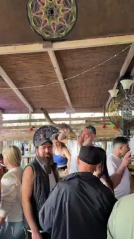 Inside a covered bar area, a man with a long white beard and a baseball cap plays a shofar horn, with a small group of people standing close by listening. The bar has a rustic look, with a thatched roof and wooden beams. Bottles of wine and spirits are visible on a shelf behind the people. A sign in Hebrew hangs above the bar.  The bar area is crowded, with several more people standing around or moving through the space. The shofar player moves around a bit while playing, occasionally making eye contact with the audience.