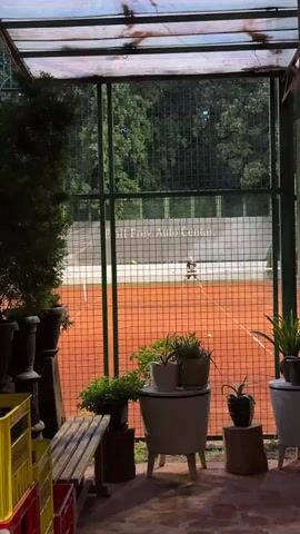The video shows an outdoor scene, viewed from a covered patio or veranda with a translucent roof. In the foreground, under the cover, are several potted plants in various containers, including white planters on stands and a wooden bench. Yellow and red crates are visible at the bottom left. A dark metal fence separates this area from a red clay tennis court in the midground. On the tennis court, a single person, dressed in light-colored attire, is playing tennis, moving and swinging a racket. The tennis court features white lines and a net. A light-colored wall behind the court bears the text "Bell Frey Auto Centar." Tall green trees form a dense background behind the tennis court. The lighting suggests daytime.