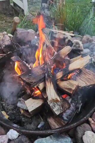 This is a close-up, static shot of a campfire. The fire is burning actively, with flames of orange, yellow, and blue consuming stacked logs. Smoke rises from the fire and dissipates into the surrounding environment. The campfire is contained within a metal fire pit, which is surrounded by rocks of various sizes and colors. In the background, there is blurred greenery, suggesting an outdoor setting, and a portion of a white structure that might be a fence or a piece of furniture. The lighting suggests it is either dusk or dawn. There are no people visible in the frame.