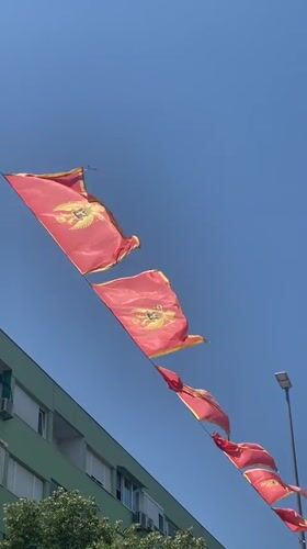 Flags and a napping cat in downtown Podgorica