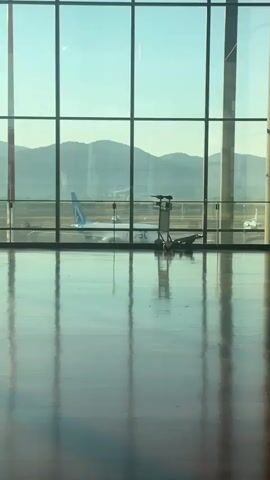 The video is a vertical, static shot of a modern airport waiting area. The foreground features a highly polished wooden floor that reflects the light and the scene outside. Dominating the background is a large, floor-to-ceiling window composed of multiple rectangular panes. Through the window, an airplane is visible on the tarmac, with mountains forming the backdrop under a clear, bright sky. A luggage cart stands near the window, partially obscuring the view of the plane. The overall atmosphere is one of quiet anticipation and travel.