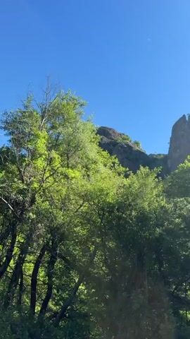 This is a video of trees and a rock formation on a sunny day. The camera pans up from dense green foliage to a clear blue sky. A large, jagged rock formation with some trees growing on it is visible in the upper right portion of the frame. The sun is shining brightly, casting a dappled light on the leaves and creating lens flare.