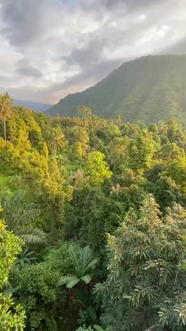 The video pans across a lush, verdant landscape with a large, tree-covered mountain in the background. The sun is setting, casting a warm glow over the scene and creating dramatic clouds in the sky. In the foreground, there is a balcony with white railings and a section of a glass roof. The balcony overlooks the dense forest and the mountain.