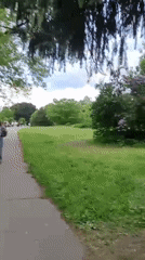 Woman enjoys lilac blooms in Moscow park during spring afternoon