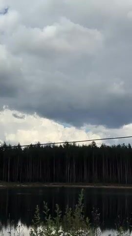 The video shows a lake with trees in the background. The sky is cloudy.