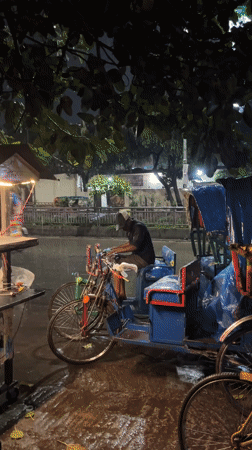 Mixed memories: rickshaw rider, street food, rainy tower view
