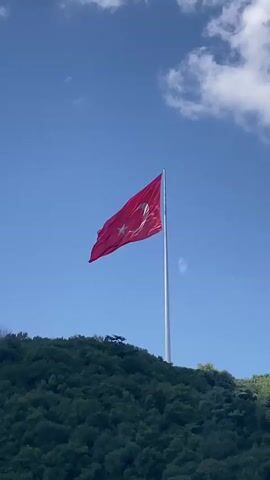 The video shows a Turkish flag waving on a flagpole against a clear blue sky with some white clouds. The flagpole is positioned on top of a lush green, tree-covered hill. The flag is red with a white star and crescent. The camera is looking up at the flag from below.