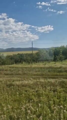 The video shows a landscape from the perspective of a moving vehicle, likely a train or car. The scene is dominated by a bright blue sky with scattered white clouds. In the foreground, there are grassy fields with patches of wildflowers. Moving towards the background, there are clusters of trees and bushes, with varying shades of green foliage. In the distance, there are rolling hills or mountains. The camera appears to be capturing a view from a window, as there are some faint reflections visible on the glass. The overall impression is one of a sunny day in a rural or natural setting.