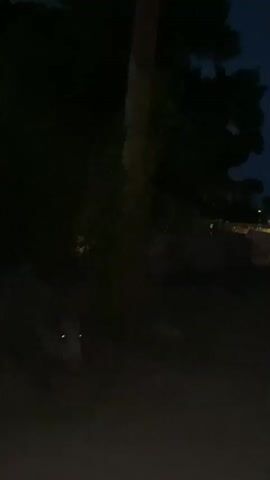 The video appears to be filmed at night in an outdoor setting. The scene is dark, with some artificial lights visible in the background, possibly from buildings or streetlights. A tree trunk is prominently featured in the center of the frame, and there are shadows and foliage visible. The ground in the foreground is dark and indistinct. At one point, a small bright light appears briefly on the ground. Towards the end of the clip, a cloud of white smoke or mist moves across the lower portion of the frame. No people are clearly visible.