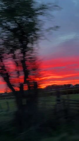 The video shows a vivid, fiery sunset over a rural landscape. The sky is a mix of dark gray at the top, transitioning into streaks of bright red and orange near the horizon. The sun appears to be setting behind a line of trees silhouetted against the colorful sky. Below the trees is a green field with a wire fence in the foreground. The video seems to be taken from a moving vehicle, as there is motion blur on the edges of the frame, and a sign briefly passes by on the left side of the screen.