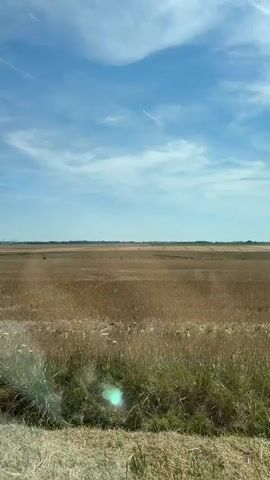 The video shows a view from inside a car driving on a road. The car is traveling through a rural landscape with a dry, golden field on the right and a blue sky with wispy clouds above. Several tall electricity pylons are visible in the distance, stretching across the horizon. In the foreground, the right side mirror of the car is visible, reflecting the interior of the car. Further down the road, other cars are seen driving in the same direction. The sun appears to be bright, casting shadows and creating a warm atmosphere.