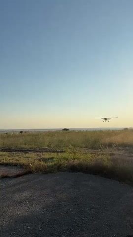 A small white airplane with green accents lands on a grassy field adjacent to a paved runway. The plane is seen in mid-air with landing gear down, then touches down and rolls to a stop on the runway. The sky is clear and blue. The environment appears to be rural with dry grass and a few trees in the background.