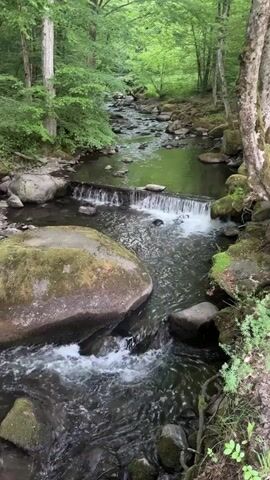 The video shows a clear stream running through a lush green forest. Large, moss-covered rocks are scattered throughout the stream, and there is a small man-made waterfall. The water is flowing rapidly, creating white foamy patterns. The trees are tall and dense, filtering the sunlight and creating a shady environment.