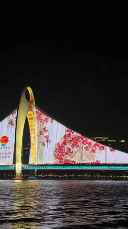 Illuminated bridge and cityscape captured in Haizhu District nighttime