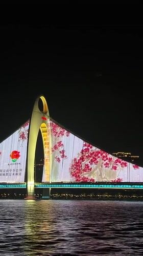 Illuminated bridge and cityscape captured in Haizhu District nighttime
