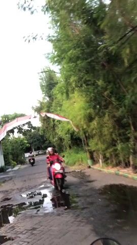 Three people on two motorcycles are traveling down a paved road. The first motorcycle, a red scooter, is carrying two individuals. The rider in front wears a yellow shirt and the passenger behind wears a red shirt. The second motorcycle, a dark-colored scooter, carries one person wearing a light-colored shirt. The road is wet with puddles. On the right side of the road, there is a dense growth of tall green bamboo. On the left side, there is a white building with a red and white striped awning and an archway. A red, white, and blue flag is draped over the archway and strung across the road. Electrical wires are visible overhead.