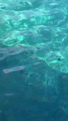 The video displays an underwater scene in clear, turquoise-blue water. Numerous small fish, appearing dark against the bright water, are actively swimming. The sunlight penetrates the water, creating beautiful patterns of light and shadow on the seabed, visible through the ripples on the surface. The water is exceptionally transparent, allowing for a clear view of the fish and the light refracting through the water. The setting suggests a tranquil, natural environment, possibly near a coast in a sunny location like Lipari, Italy. No people or text are visible.