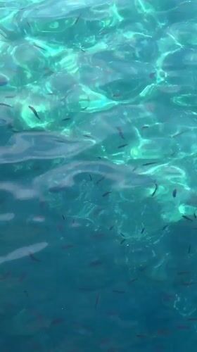 Morning scenes captured around Lipari: underwater life, harbor gulls, market