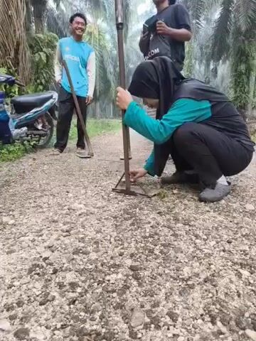 A video shows three people in an outdoor environment, likely a plantation, with palm trees visible in the background. The ground is covered in gravel and dirt.

In the foreground, a person wearing a black hijab and a teal and black shirt is crouched down, holding a metal pole with a triangular base. They appear to be adjusting or securing the base of the pole to the ground.

To the left, a young man in a light blue t-shirt and black pants is standing, holding a long-handled tool, possibly a hoe or a rake. He is looking towards the person in the foreground. A motorcycle is parked behind him.

In the background, another person wearing a dark t-shirt is standing and looking down, possibly at a phone or another object.

The overall scene suggests an activity taking place outdoors, possibly related to fieldwork or setting up equipment. The lighting is somewhat dim, and there might be a slight haze in the air.