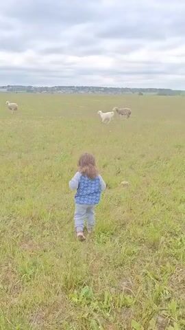 The video shows a young child wearing a blue patterned jacket and gray pants standing in a grassy field. The child is facing away from the camera at first, then turns to face the camera. There are three sheep in the background grazing in the field. The sky is overcast.