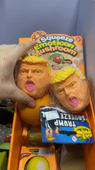Trump-themed mushroom stress toys spotted in Kiryat Bialik
