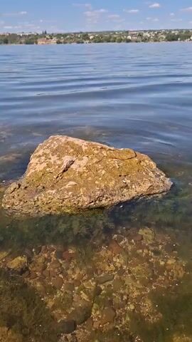 The video begins with a close-up of a rock partially submerged in clear water. The rock is light brown with greenish algae growing on its surface. The water is calm with gentle ripples, and the lakebed is visible beneath the surface, covered in stones and more algae. In the background, a distant shoreline is visible with trees and some buildings. The sky is clear and blue. The camera then pans to the left, revealing more of the lake and shoreline. The view shifts to show the rock from a slightly different angle, with the camera continuing to move horizontally, showcasing more of the lake's edge and the clear, shallow water. The video concludes with a broader view of the lake, emphasizing the expanse of water and the distant landscape under a bright, sunny sky. There are no people visible in the video.