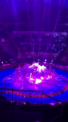 Circus performers circle a spotlight in Saint Petersburg ring