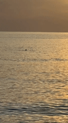 Sunset beach activities captured along Bar, Montenegro coastline
