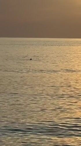 Sunset beach activities captured along Bar, Montenegro coastline