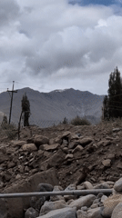 Indus River in Leh: muddy currents, rocky banks, stray dog wading