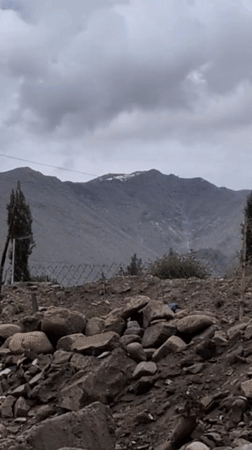 Indus River in Leh: muddy currents, rocky banks, stray dog wading