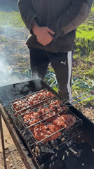 Outdoor grilling observed in Elovo, Russia on May 9