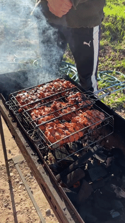 Outdoor grilling observed in Elovo, Russia on May 9