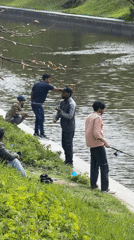 Weekend fishing and wildlife spotted along St. Petersburg canal