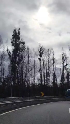 The video shows a highway on a cloudy day. The road is paved with asphalt and has a white line marking the lane. There are several vehicles on the road, including a blue bus, silver cars, and a blue truck. A line of tall, bare trees stands on the side of the highway. There are also yellow chevron signs marking the turns in the road. The sky is partially covered with clouds, with some patches of blue visible. The video appears to be taken from inside a moving vehicle.