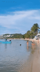 Beach day at Baan Bang Rak with swimmers and dog