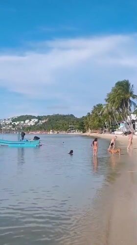Beach day at Baan Bang Rak with swimmers and dog