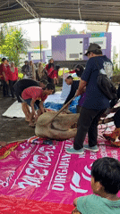 Livestock preparation and food scenes documented in East Jakarta