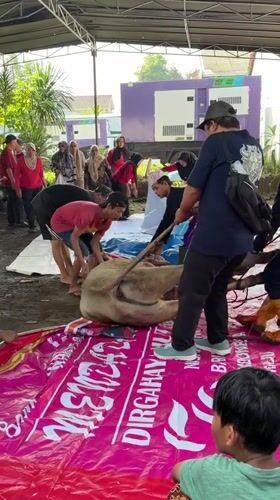 Livestock preparation and food scenes documented in East Jakarta