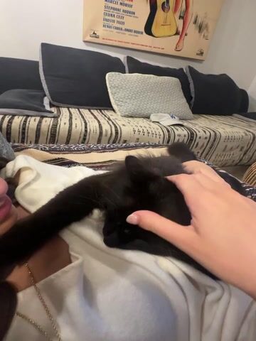 Here's a description of the video:

The video shows a person petting a black cat while lying on a couch. The person is wearing a white shirt and a gold necklace. The cat is lying on the person's chest. The couch has a striped cover and several pillows. There is a poster hanging on the wall behind the couch, featuring a guitar and a woman.  The person's hand gently strokes the cat's head.