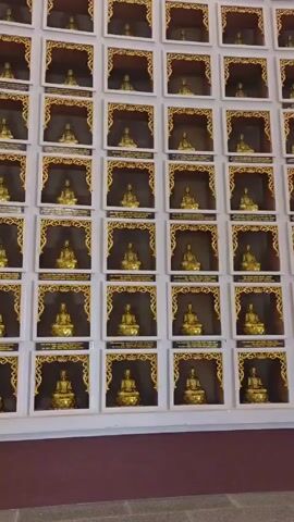 A wall-mounted display features a grid of numerous individual niches. Each niche contains a golden Buddha statue in a seated meditative pose. The niches are square and painted in a light gray, with a golden frame accentuating the interior perimeter of each niche. Small white plaques, possibly containing inscriptions, are situated just below each Buddha statue. The wall is two-toned, with the display section in a lighter shade and a lower section in a darker tone. The floor is gray and composed of small square tiles. The camera slowly pans upwards across the display.