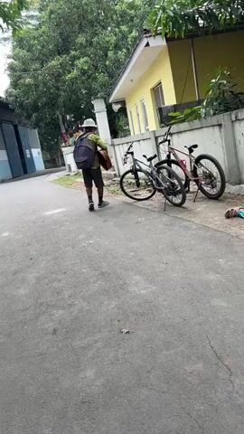 A person in a hat and backpack stands in the middle of a paved street, playing an acoustic guitar. Two bicycles are parked to the right of the person, leaning against a low wall. A yellow building is visible behind the wall, with trees and foliage surrounding it. Another person is sitting on the ground near the bicycles. A small, light-colored animal, possibly a cat, walks across the street in front of the guitarist. The scene appears to be outdoors in a residential or semi-commercial area.