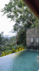 Infinity pool captures serene jungle views in Ubud