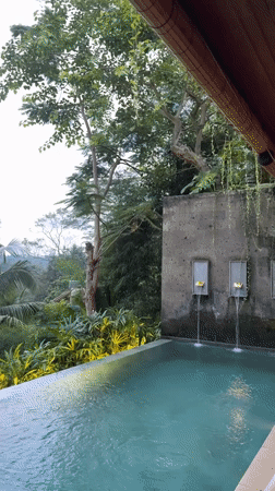 Infinity pool captures serene jungle views in Ubud