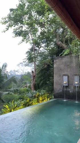 Infinity pool captures serene jungle views in Ubud