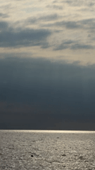 Calm coastal afternoon with sailboat, pier, and breaking sun